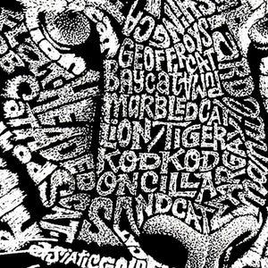 Women's Plus Size Word Art V-Neck - Big Cats