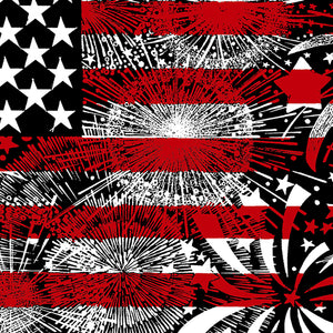 Women's Plus Size Word Art V-Neck - Fireworks American Flag