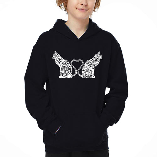 Cat Tail Hearts - Boy's Word Art Hooded Sweatshirt