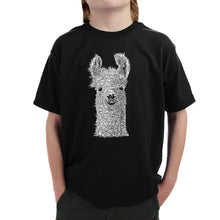 Load image into Gallery viewer, Llama - Boy&#39;s Word Art T-Shirt