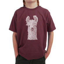 Load image into Gallery viewer, Llama - Boy&#39;s Word Art T-Shirt