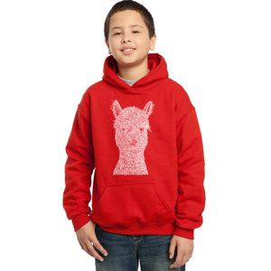 LA Pop Art Boy's Word Art Hooded Sweatshirt - Alpaca