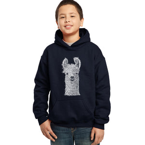 LA Pop Art Boy's Word Art Hooded Sweatshirt - Llama