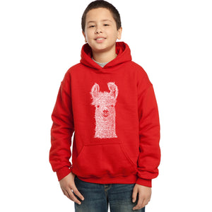LA Pop Art Boy's Word Art Hooded Sweatshirt - Llama