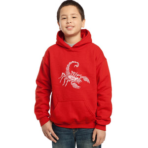 LA Pop Art Boy's Word Art Hooded Sweatshirt - Types of Scorpions