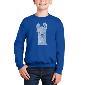 Llama - Boy's Word Art Crewneck Sweatshirt